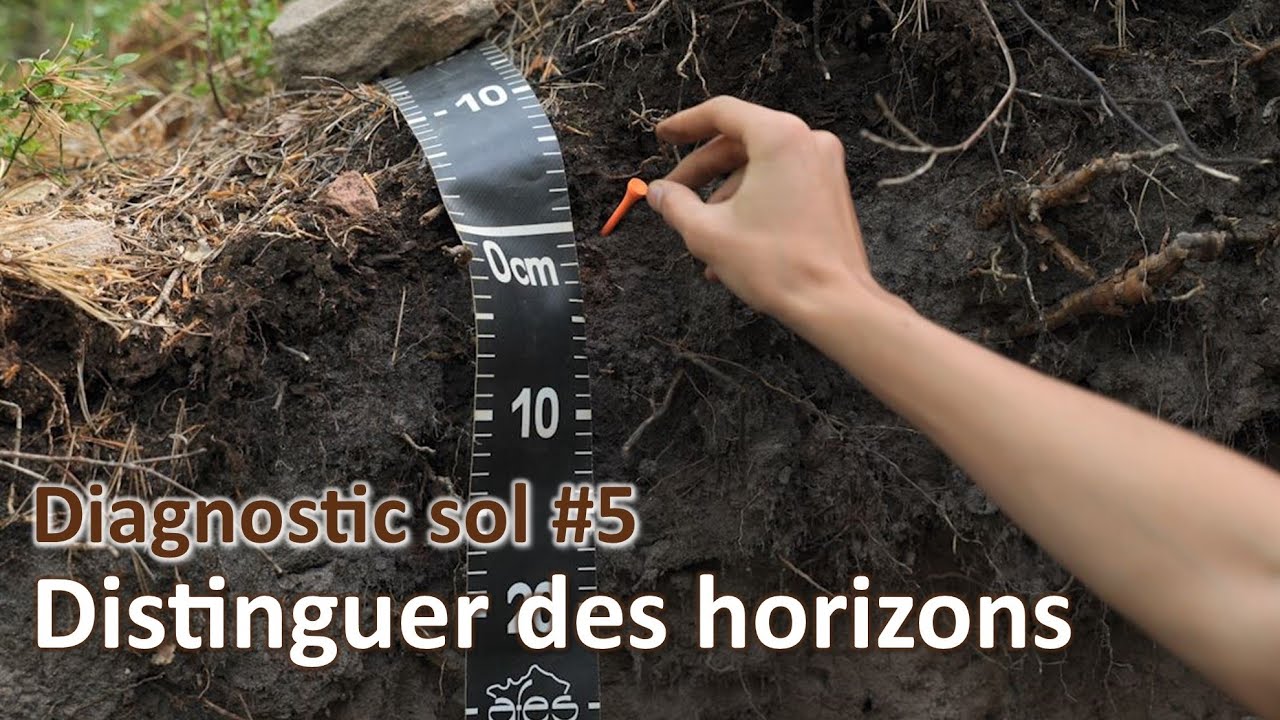 Diagnostic sol #5 | Horizons fosse