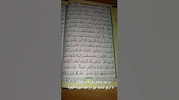سورة البقرة صفحة 5