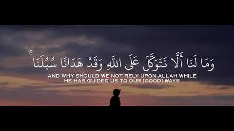 ﴿ ولنصبرن على ما آذيتمونا وعلى الله فليتوكل المتوكلون ﴾|سورة ابراهيم