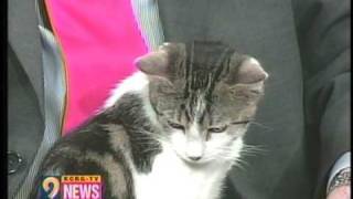 Dr. Dave on KCRG-TV News 2-18-09