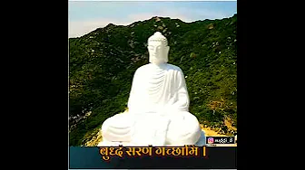 mind fresh is the best song🎶 a @--bodhi