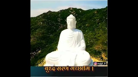 Thumbnail of mind fresh is the best song🎶 a @--bodhi
