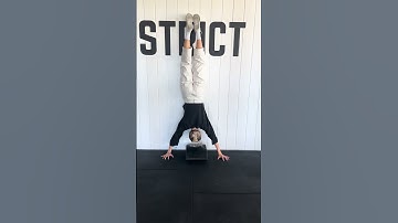 Strict Handstand PU (stomach to wall)- ProForm Physiotherapy