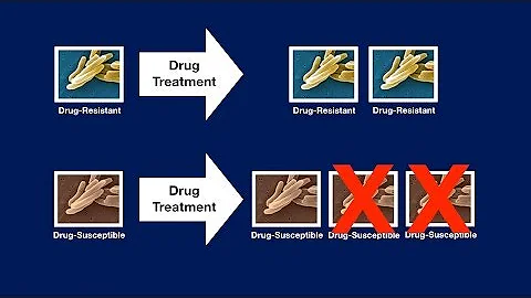 Changing the Games of Disease: Reversing Antibiotic Resistance