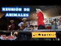 Reunin de animales polticos socavn de la cruz sito morales lili samaniego y alquimedes ovalle