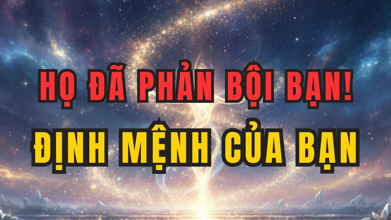 Nếu Từng Bị Phản Bội, Đừng Bỏ Qua Điều Này!