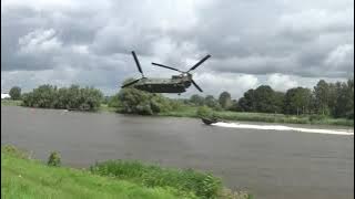 Chinook chasing a boat