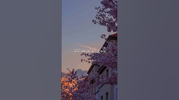 تلاوه من سورة يوسف |بصوت الشيخ محمد المنشاوي 🧡✨ #trending #قران_كريم