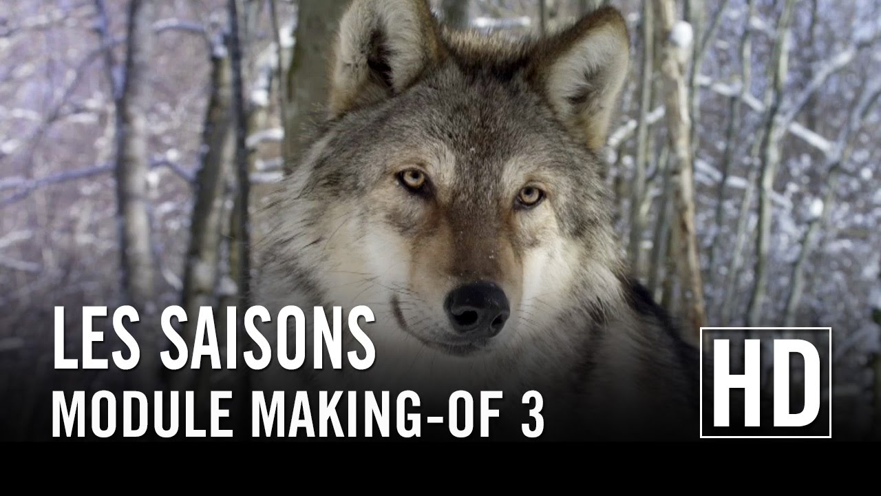 Les Saisons - Module Making-of 3