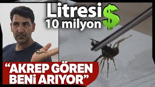 Akrep Zehrinin Litresi 10 Milyon Dolar! Evinin Altına Akrep Üretim Tesisi Kurdu Resimi