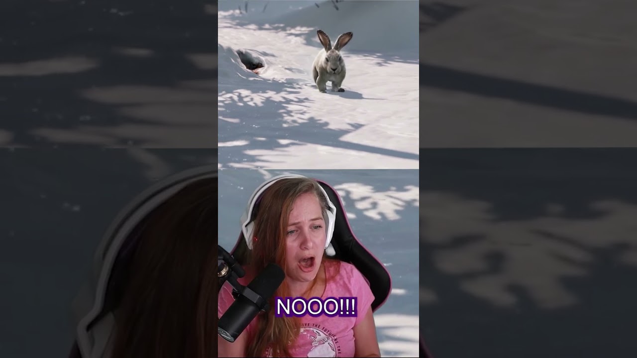 NOOOO NOT THE BUNNY 🐰😱😭