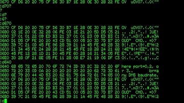 Digital Microsystems ZSBC-3 {Monitor Test} (1980)