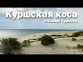 Куршская коса и курорты Балтики: Зеленоградск и Светлогорск