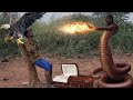 WICKED SWEET SNAKE GIRL 😈👹@BrainJotterComedian @ogasabinus @RuthKadiri247 @SETIndia 