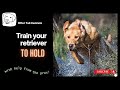 Teaching your retriever the hold command  day 1