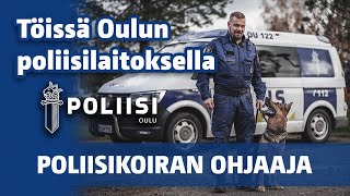 Töissä Oulun poliisilaitoksella: Poliisikoiran ohjaaja