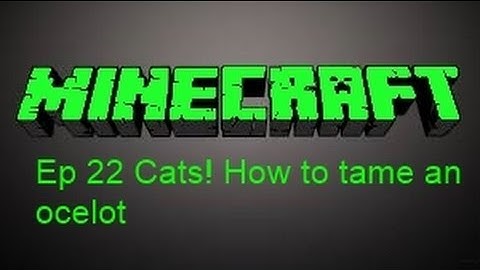 Minecraft 1.7.9 Sam