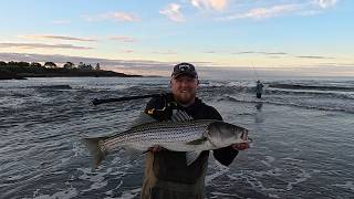 Striped Bass in the Surf at Dawn