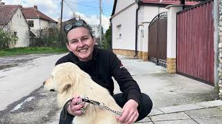 Priča sa srećnim krajem psa Diogena, Pazovačke šapice.