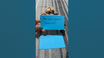 Message from your person 🥳 #lovereading #channeledmessages #lovemessages #cardreading #messages