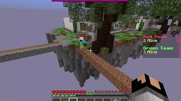 Minecraft Central Hacker Report - TeamSW (#143)