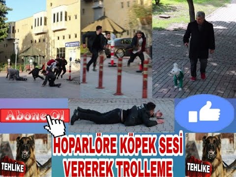 HOPARLÖRE KÖPEK SESİ VEREREK İNSANLARI TOLLEME 2020 (Kamera Şakası Türkiye'de İlk)