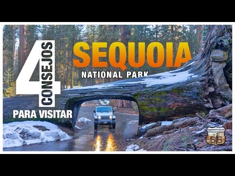 Vídeo: Qué Hacer En Sequoia Y Kings Canyon, Dónde Alojarse Y Qué Ver