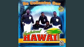 Video thumbnail of "Tropical Hawai - Vete Con El"