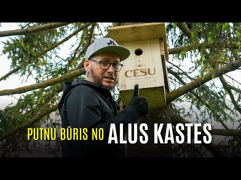 Video: Kā ieviest jaunu kaķēnu suņiem