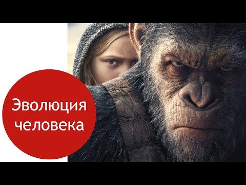 Эволюция человека | самое простое объяснение