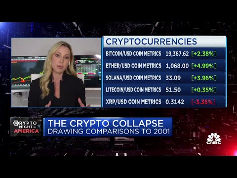 Read more about the article How the crypto collapse compares to the dotcom bubble – CNBC Television