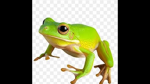 Updating the thumbnail of this video every 2 mins with Python