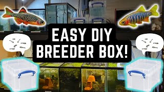 HOW TO MAKE AN EASY DIY AQUARIUM BREEDER BOX / EGG HATCHING SYSTEM!