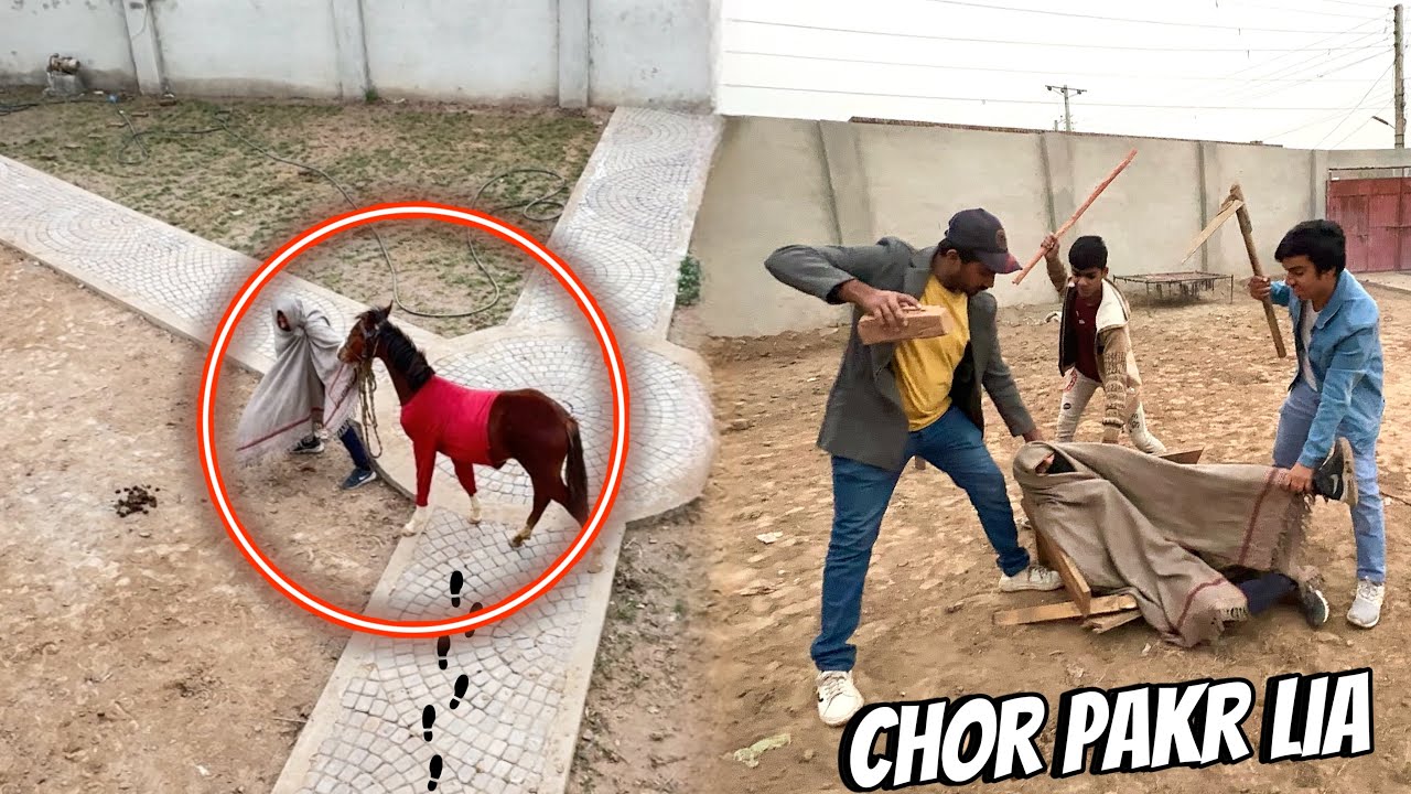Horse Chori Hona Wala Tha 😰 Chor Pakr Lia 😱