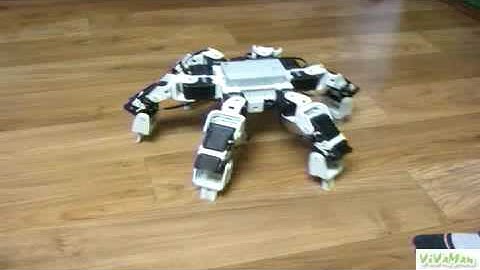 KingSpider Robotis Hexapod