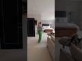 A HUGE Luxurious Principal Suite in a Six-Bedroom Mansion | #Shorts