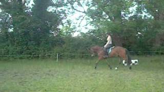 Monty flatwork