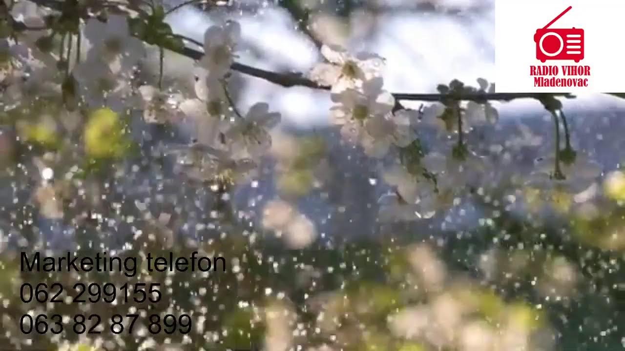 Radio Vihor Mladenovac Uzivo