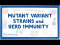 COVID-19 mutant variant strains and herd immunity