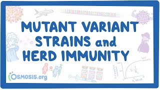 COVID-19 mutant variant strains and herd immunity