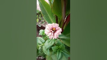 قران كريم راحه نفسيه اكتب شي تؤجر عليه ❤🌺