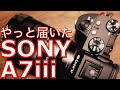 やっぱり[SONY A7iii]を買いました！ 人気カメラの最初の感想と少しムービーテスト