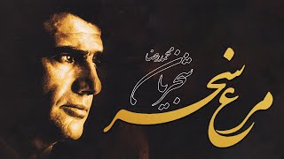 Mohammadreza Shajarian - Morghe Sahar (Live in Concert) - اجرای زنده تصنیف مرغ سحر استاد شجریان