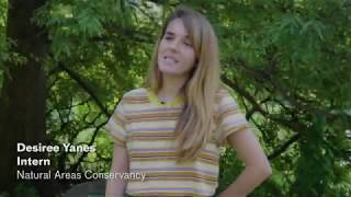 2019 Internship Program: Hear from Desi