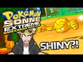 EIN SHINY-POKÉMON?! | POKÉMON SONNE EXTREME RANDOMIZER NUZLOCKE #2