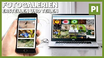 Wie kann ich kostenlos Fotos teilen?