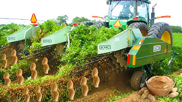 Harvesting Millions of Peanuts & Produce Peanuts Butter in Factory 🥜 - Modern Agriculture Machine