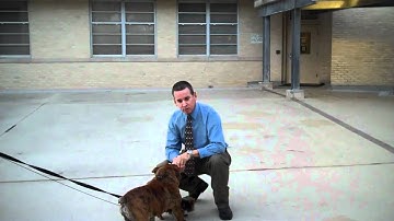 Introduction to EMR Training