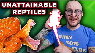 5 DREAM Reptiles I Can't Afford But Maybe YOU Can!