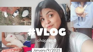 NIHARIKALIFESTYLE1 FULL VLOG -8 Sundar rabbit ke bachhe